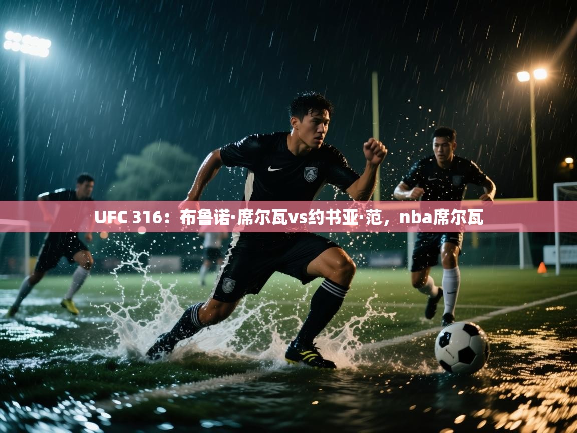 UFC 316：布鲁诺·席尔瓦vs约书亚·范，nba席尔瓦