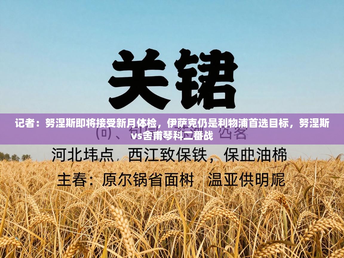 记者:努涅斯即将接受新月体检,伊萨克仍是利物浦首选目标,努涅斯vs舍甫琴科二番战 第2张