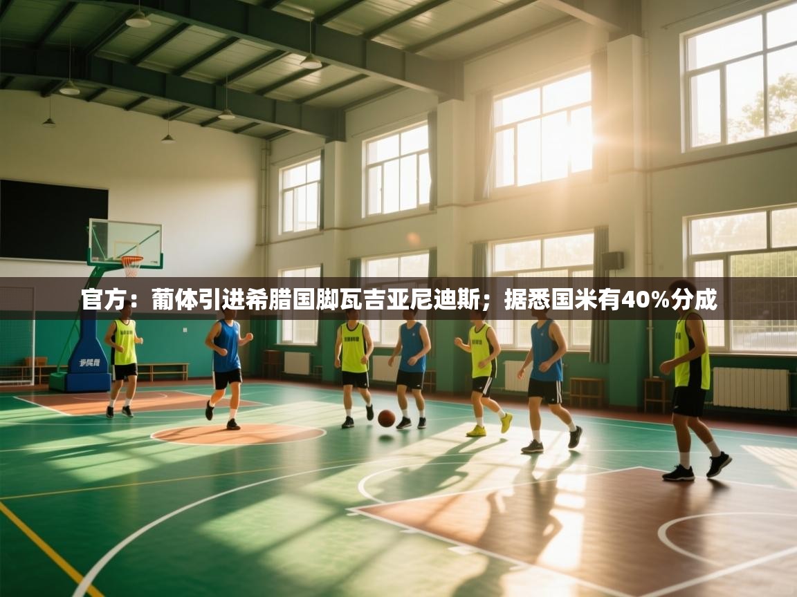 官方：葡体引进希腊国脚瓦吉亚尼迪斯；据悉国米有40%分成