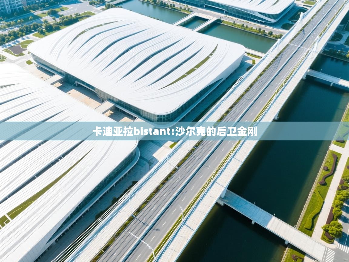 卡迪亚拉bistant:沙尔克的后卫金刚  第2张